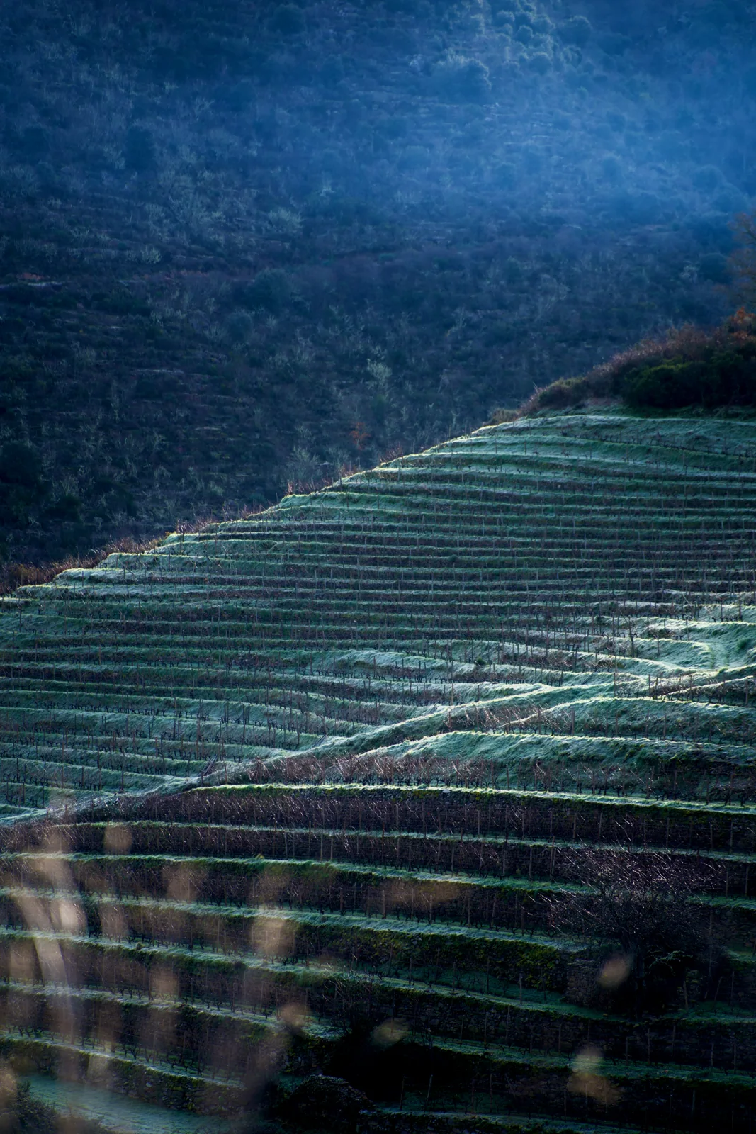 Recursos y experiencia del destino Ruta del Vino Ribeira Sacra