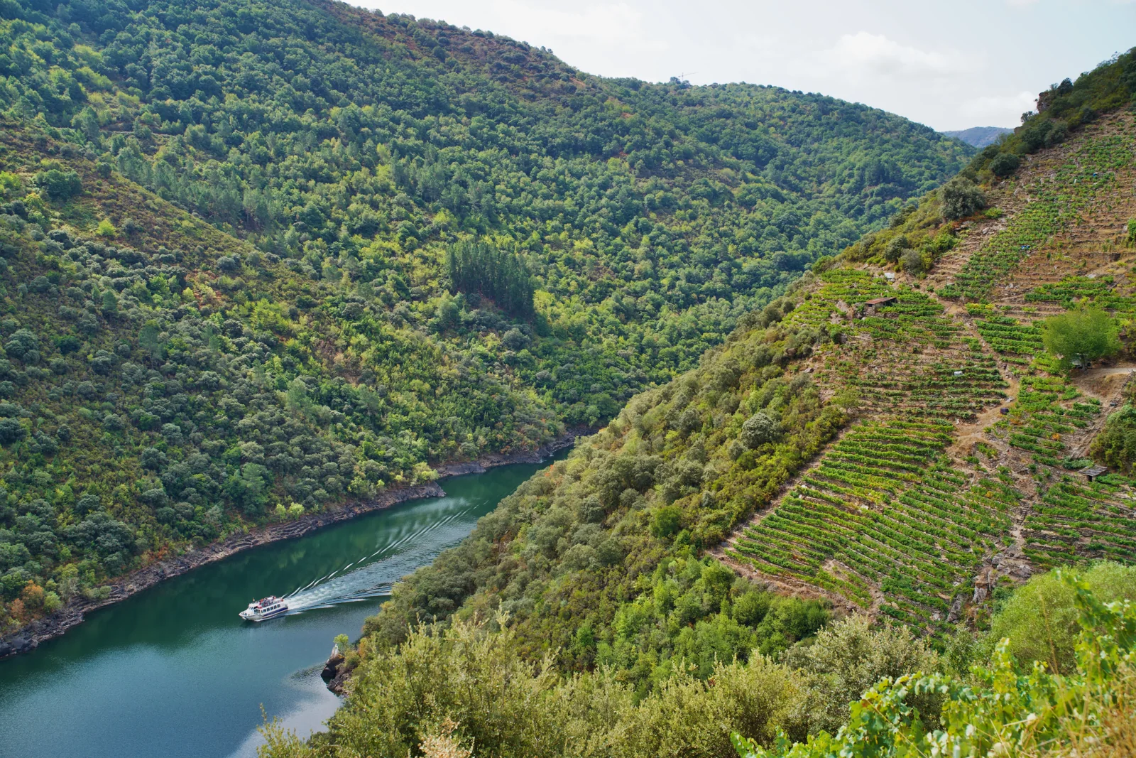 Paisaje enoturístico de la Ruta del Vino Ribeira Sacra